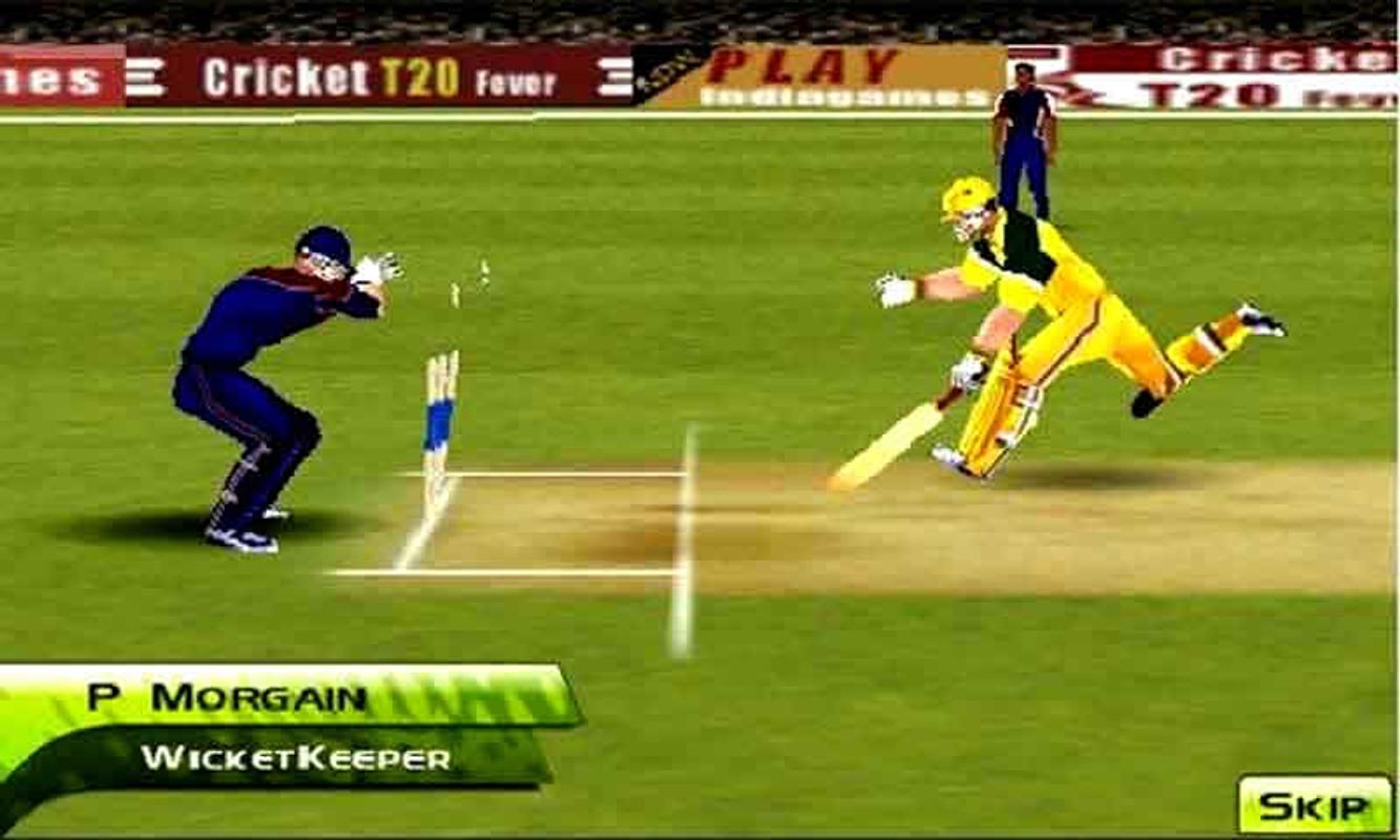 cricket 3d game download